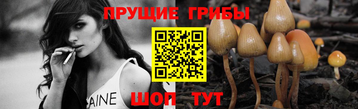 Галлюциногенные грибы Cubensis Сердобск